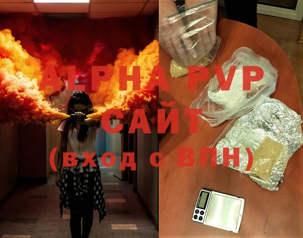 прущие грибы Вязники