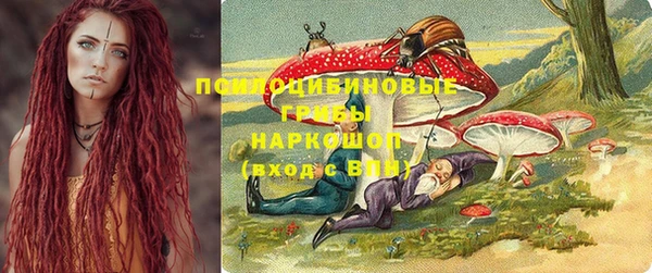 прущие грибы Вязники