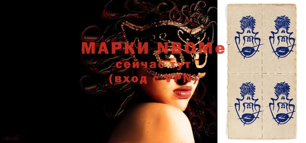 прущие грибы Вязники