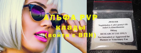 apvp Вяземский