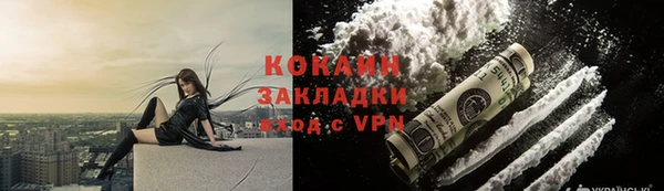 прущие грибы Вязники