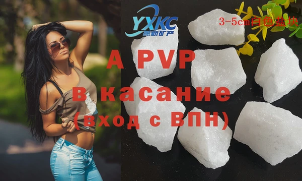 прущие грибы Вязники