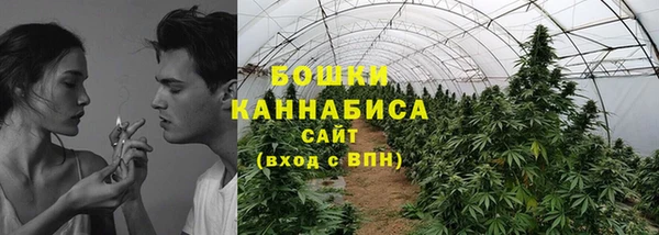 apvp Вяземский