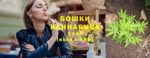 apvp Вяземский