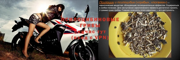 прущие грибы Вязники