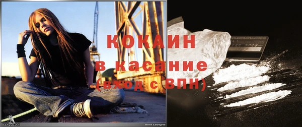 apvp Вяземский