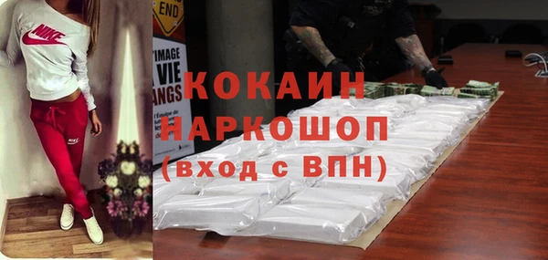прущие грибы Вязники