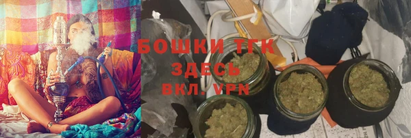 прущие грибы Вязники