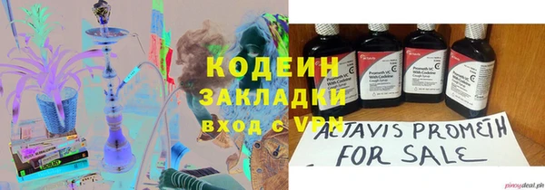 индика Горно-Алтайск