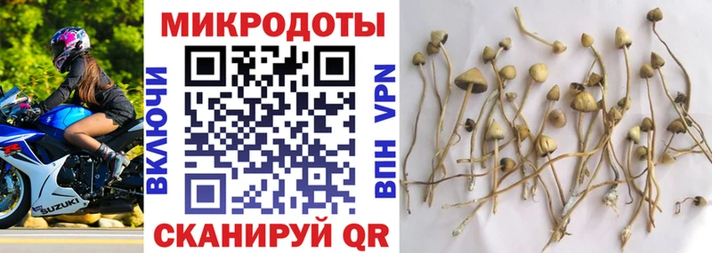 Псилоцибиновые грибы Cubensis  Павловск 